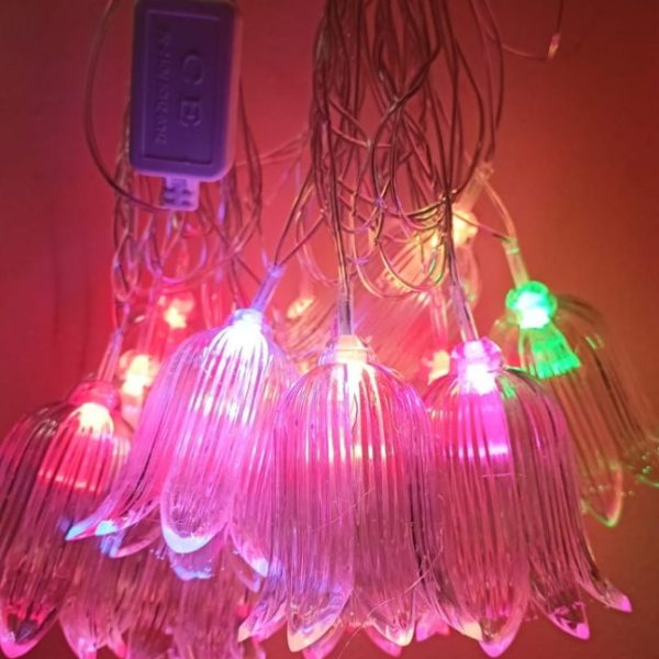 ASD-204 LONG Flower Shape Decorative Lights (14 Bulb)