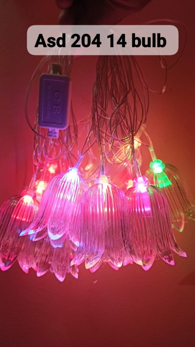 OXwCQ8oYpWiYps3qZcT.jpg ASD-204 LONG Flower Shape Decorative Lights (14 Bulb) - Image 1