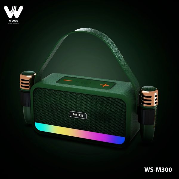 WOOS WS-M300 WIRELESS KARAOKE SPEAKER